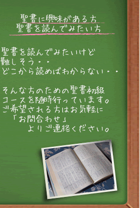 聖書　読んでみたい